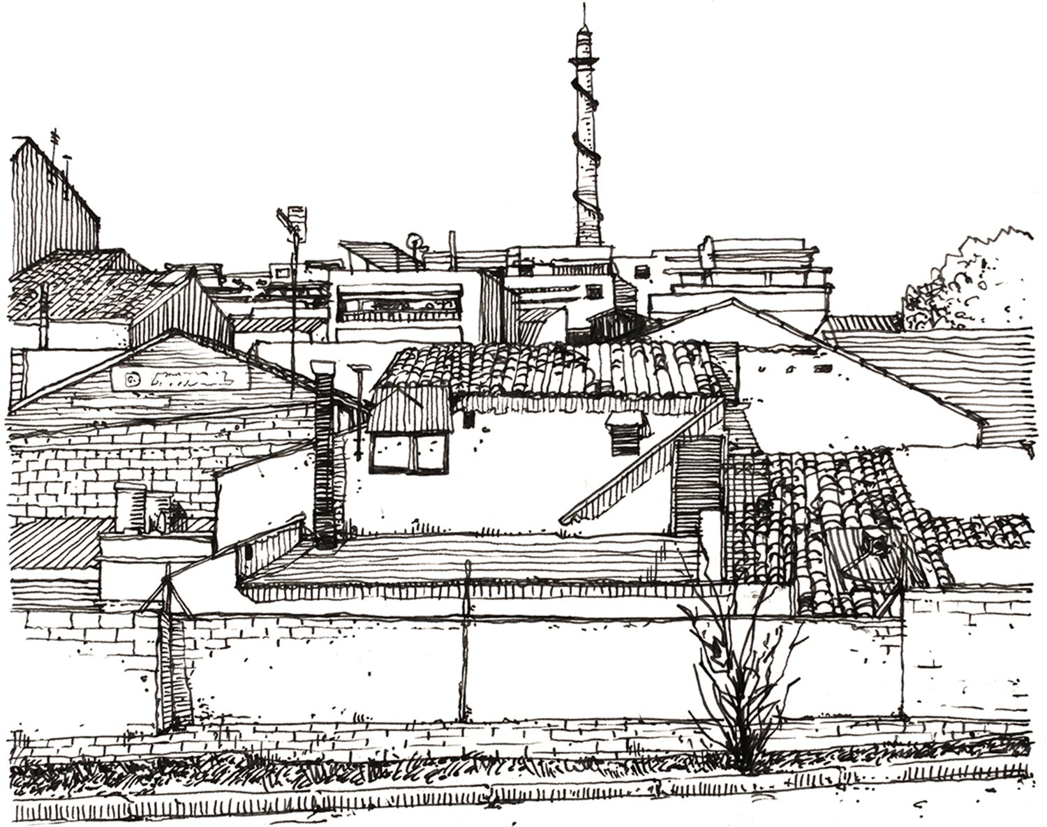 BELVEDERE_Header